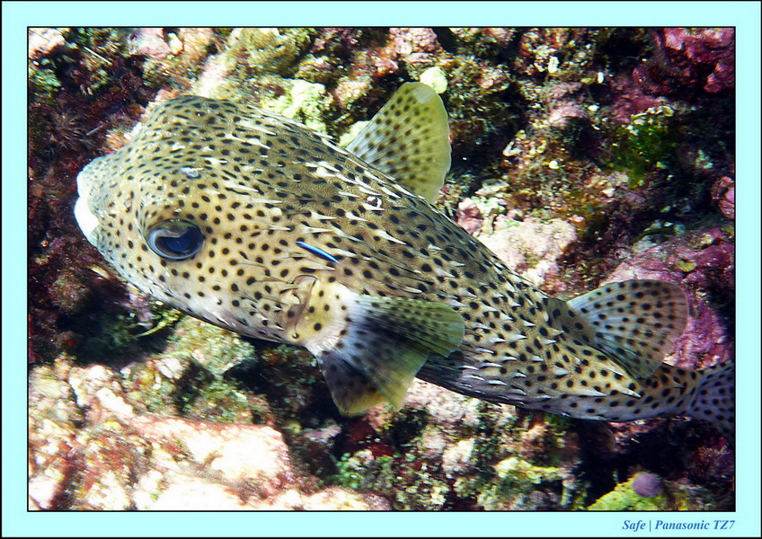 2012 - 03 - Koh Ha 15